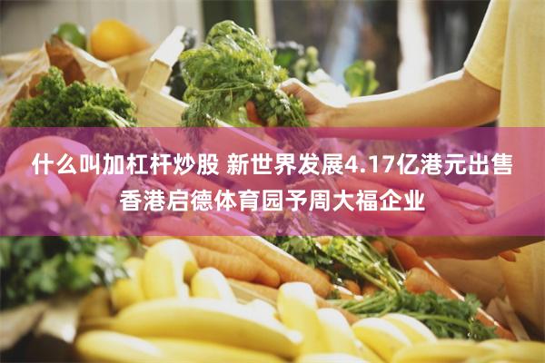 什么叫加杠杆炒股 新世界发展4.17亿港元出售香港启德体育园予周大福企业