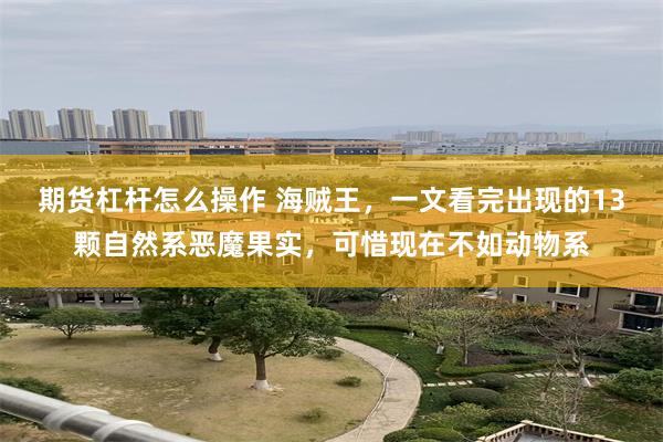 期货杠杆怎么操作 海贼王，一文看完出现的13颗自然系恶魔果实，可惜现在不如动物系
