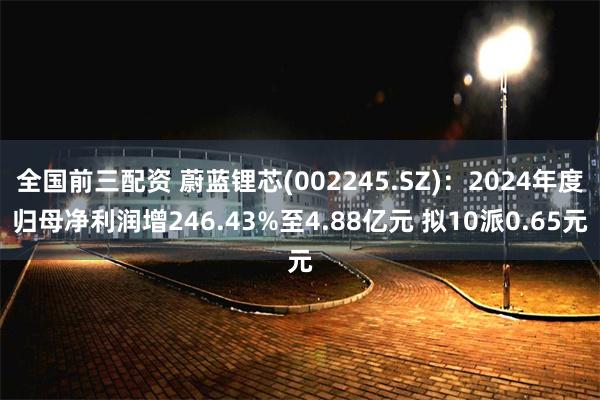 全国前三配资 蔚蓝锂芯(002245.SZ)：2024年度归母净利润增246.43%至4.88亿元 拟10派0.65元