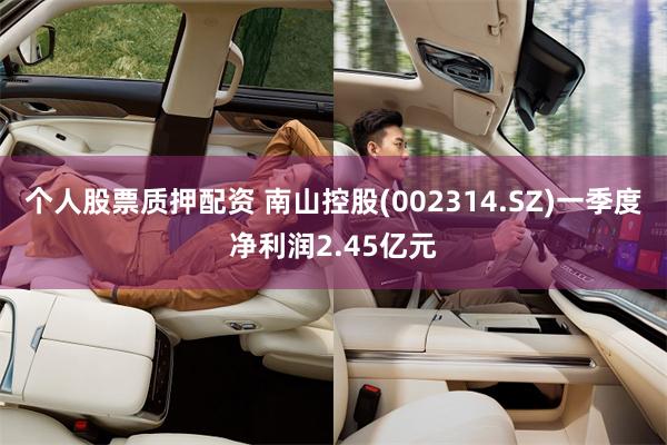 个人股票质押配资 南山控股(002314.SZ)一季度净利润2.45亿元