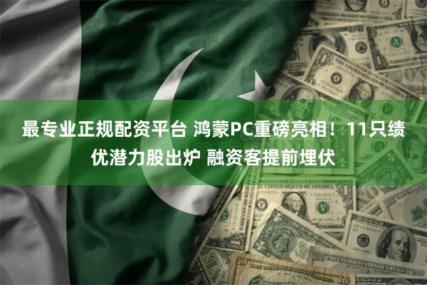 最专业正规配资平台 鸿蒙PC重磅亮相！11只绩优潜力股出炉 融资客提前埋伏