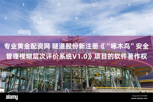 专业黄金配资网 隧道股份新注册《“啄木鸟”安全管理模糊层次评价系统V1.0》项目的软件著作权