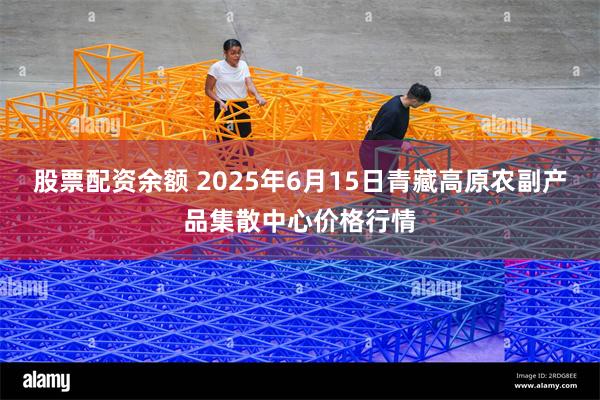 股票配资余额 2025年6月15日青藏高原农副产品集散中心价格行情