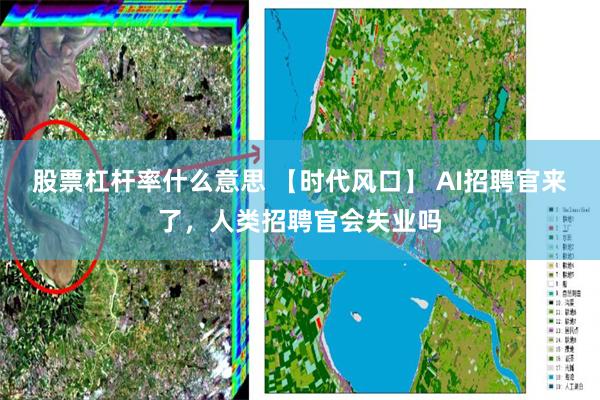 股票杠杆率什么意思 【时代风口】 AI招聘官来了，人类招聘官会失业吗